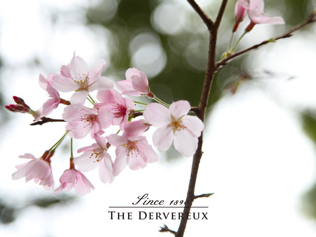 The Devereux Boutique Hotel Auckland Exterior photo
